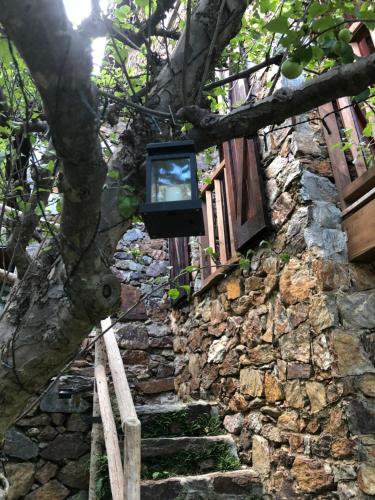 a television hanging from a tree next to a stone building at Casa Rural Pirineu Nevà in Nevà