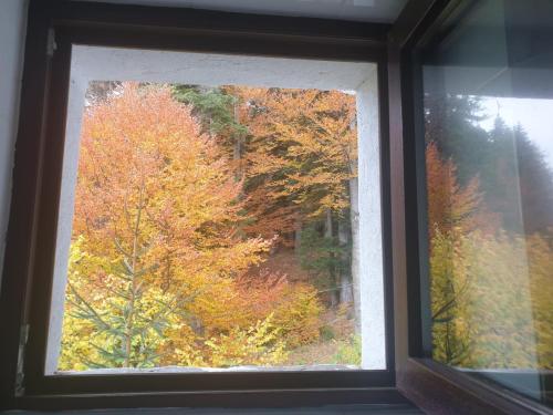 a window with a view of autumn trees at Vila Alunis in Buşteni