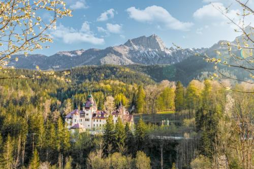 a castle in a forest with a mountain in the background at Naturhotel Schloss Kassegg in Sankt Gallen