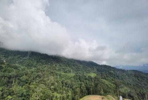 Landskap semula jadi dekat dengan apartmen