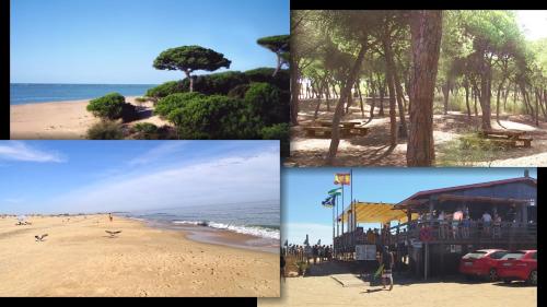 a collage of four pictures of a beach and the ocean at Playa Eucaliptos 1A in Isla Cristina