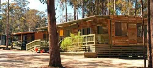 a wooden cabin in the middle of a forest at Lakes Entrance Log Cabins in Lakes Entrance