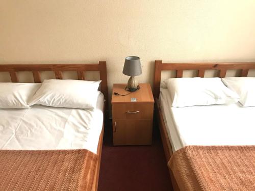 a bedroom with two beds and a lamp on a night stand at Kozatskiy Hotel in Kyiv