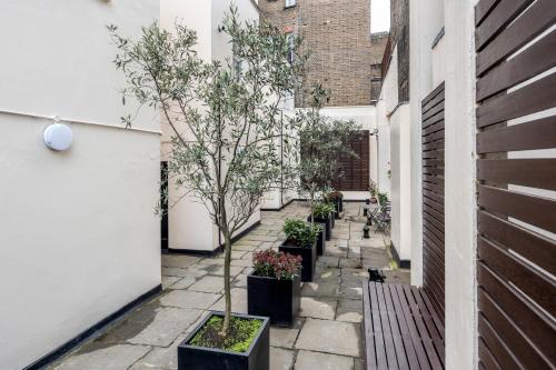 a courtyard with a row of trees and plants at Stay Kula London - Victoria in London
