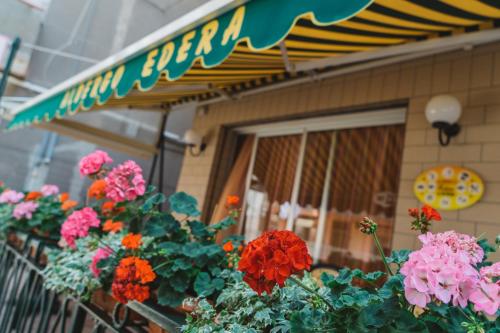 Gallery image of Hotel Edera in Sottomarina