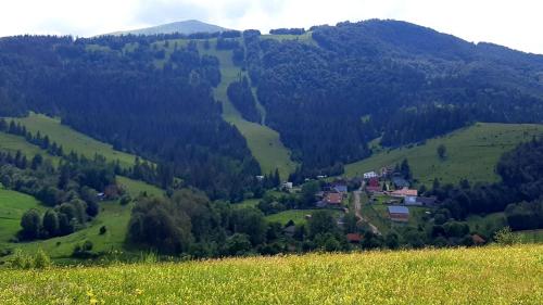 a village on a hill in a green valley at Dacha PODOBOVETS 127 in Podobovets