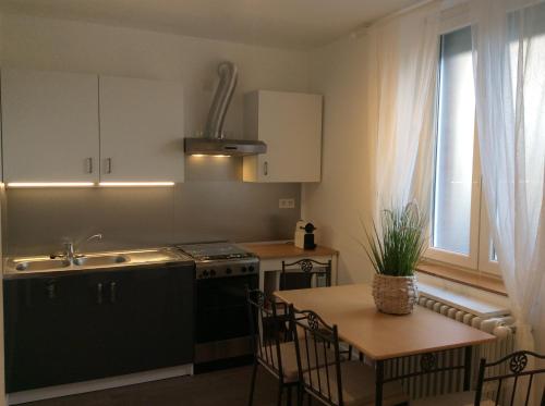 Kuchyň nebo kuchyňský kout v ubytování Appartement de vacances a St Pierre du Vauvray