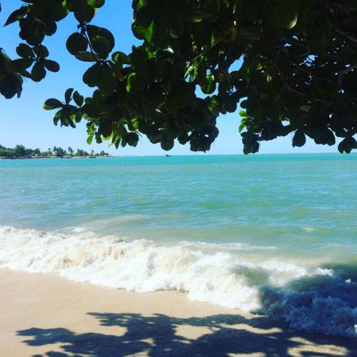 a view of the beach from under a tree at Flor de Limão Hotel Boutique in Coroa Vermelha