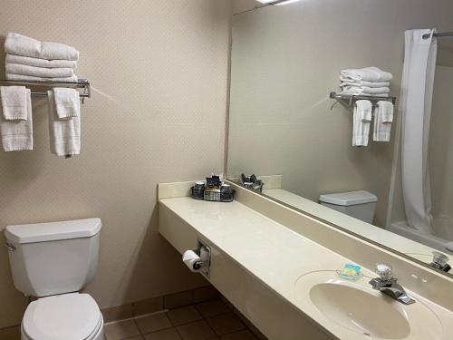 La salle de bains est pourvue d'un lavabo, de toilettes et d'un miroir. dans l'établissement Hometown Inn Indian River, à Indian River