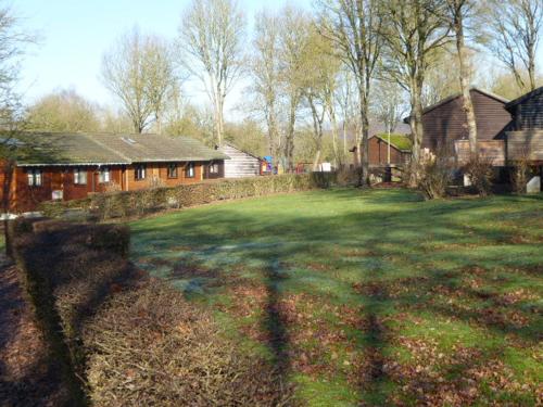 a green yard with a house and a house and trees at gîte superéquipé en Ardenne belge in Rendeux