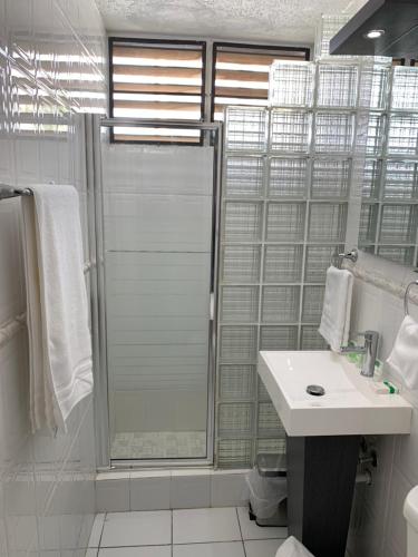 a white bathroom with a shower and a sink at Blue Leaf by the Sea in Luquillo