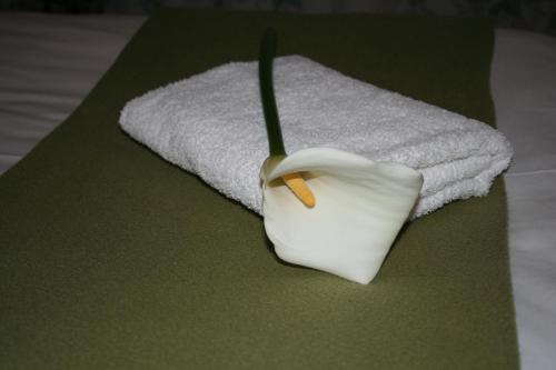 a white object with a toothbrush in it next to a towel at Karoopark Guest House in Graaff-Reinet