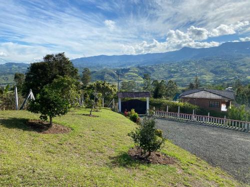 a road with two trees on the side of a hill at Finca Villa Maju in Papagalleros