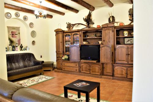 a living room with a couch and a television at Cabana Soveja in Soveja