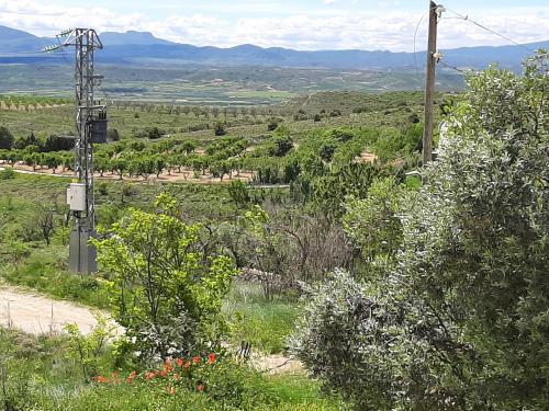 a view of a field with trees and a telephone pole at Casa rural "Garnacha de Borja" guest home in Borja