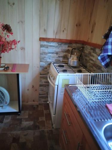 a kitchen with a stove and a counter with a sink at Cabañas Noche Estrellada Pucón in Pucón