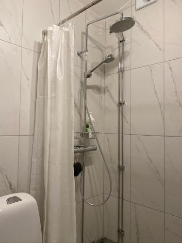 マルメにあるStudio Apartment 7Heaven Hallstorpsvägen 20 Bのシャワーカーテン付きのシャワー付きバスルーム