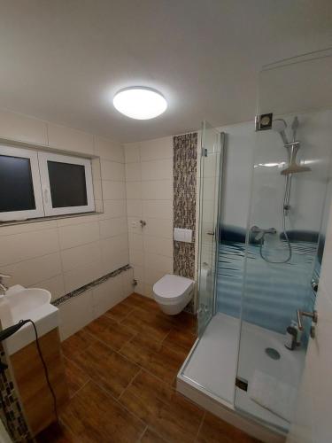 a bathroom with a shower and a toilet and a sink at Lavendel Apartment in Riederich