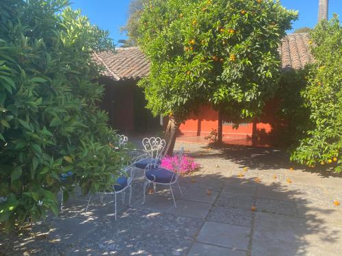 a patio with a table and chairs under a tree at Casona Lo Aguirre , Hospedaje de Temporada Cálidas in Talagante