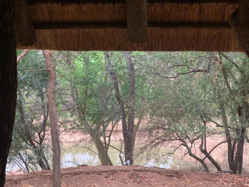 a view of a group of trees from a window at Selati River Ruins in Gravelotte