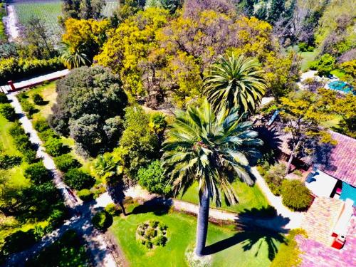 an overhead view of a park with palm trees at Casona Lo Aguirre , Hospedaje de Temporada Cálidas in Talagante