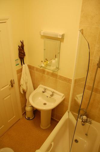 a bathroom with a sink and a shower at The Down Inn in Bridgnorth