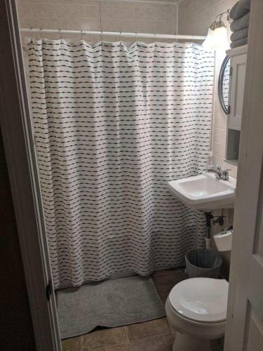 a bathroom with a shower curtain and a sink at Burrel Avenue Apartments in Cooperstown