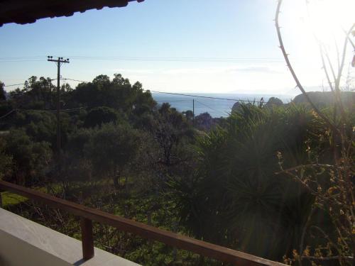 Gallery image of Hotel Elytis in Potistika