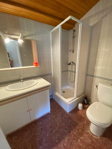 une salle de bain avec toilettes, douche et lavabo dans l'établissement Villa Alba. Piscine grand jardin Hauts de Bordeaux, à Carignan
