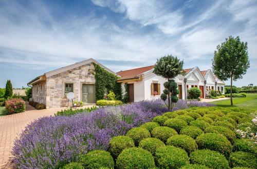 Páskom Cottage tesisinin dışında bir bahçe