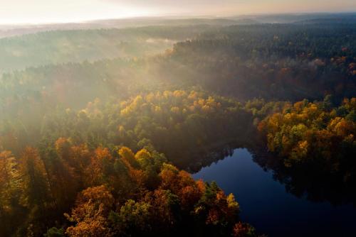 an aerial view of a lake in the woods at Winiec Family Houses in Winiec