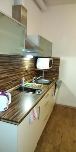 a kitchen with a sink and a counter top at Aparthotel Rezidence Club Canada Lipno in Lipno nad Vltavou