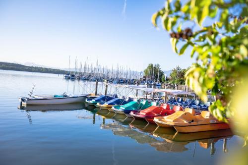 a group of boats are docked in the water at SeeHotel Wassermann in Seebruck