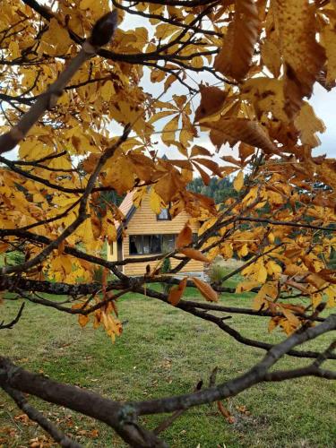 a house is seen through the leaves of a tree at Kod Gruja in Ribnica