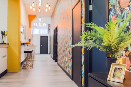 a hallway with paintings on the walls and a plant at The DreamArt Warehouse in London