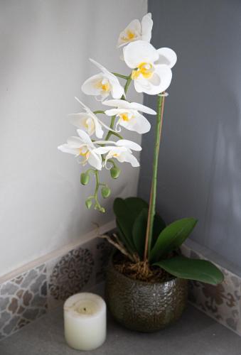 a vase filled with white flowers next to a candle at Rest at Chabivin in Stellenbosch