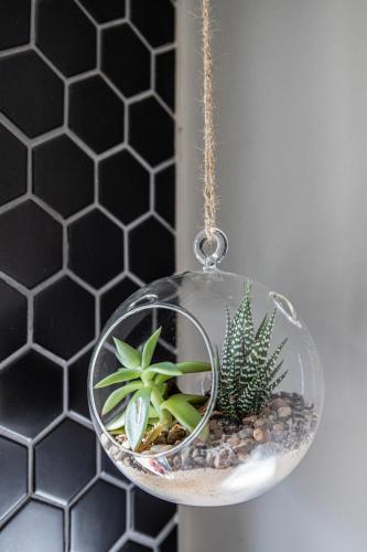 a glass terrarium with plants in it on a chain at Rest at Chabivin in Stellenbosch