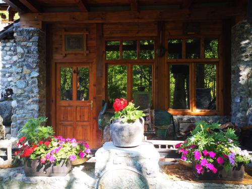 a front porch of a house with flowers in pots at Apartments DM in Mokra Gora