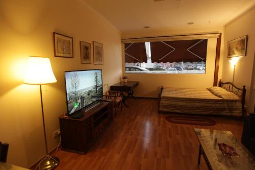 Televisyen dan/atau pusat hiburan di Nicosia Luxury Studio