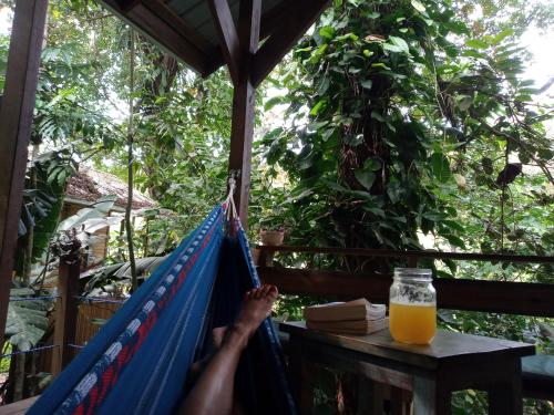 una persona sdraiata su un'amaca con un bicchiere di succo d'arancia di Jungle Paunch a Bocas del Toro
