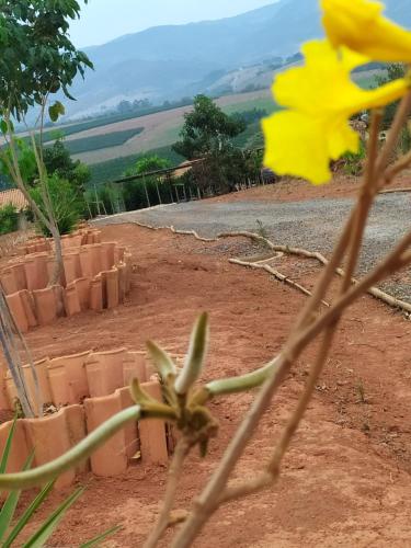 Landskap semula jadi dekat dengan inn ini