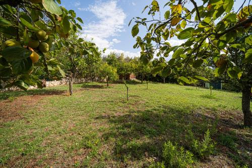 Villa Medina - Goelba – Photos 3