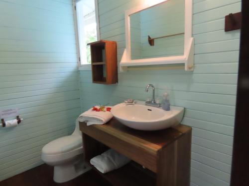 a bathroom with a sink and a toilet and a mirror at Sand Dollar Beach Bed & Breakfast in Bocas del Toro