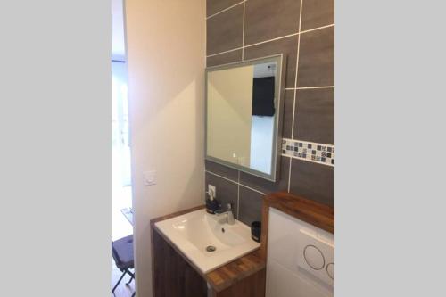 een badkamer met een wastafel en een spiegel bij Studio récent tout équipé in Villenave-dʼOrnon