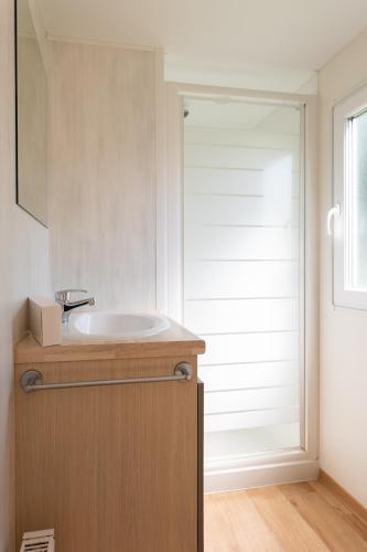 a bathroom with a sink and a glass door at Holidaypark Klein Strand in Jabbeke