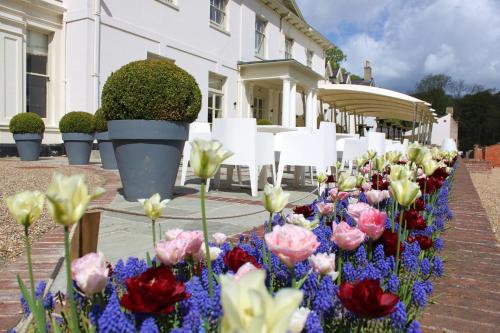 a row of flowers in front of a building at Milsoms Kesgrave Hall in Ipswich