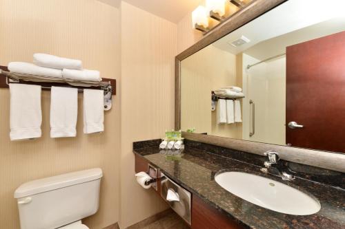 A bathroom at Holiday Inn Express Edmonton North, an IHG Hotel