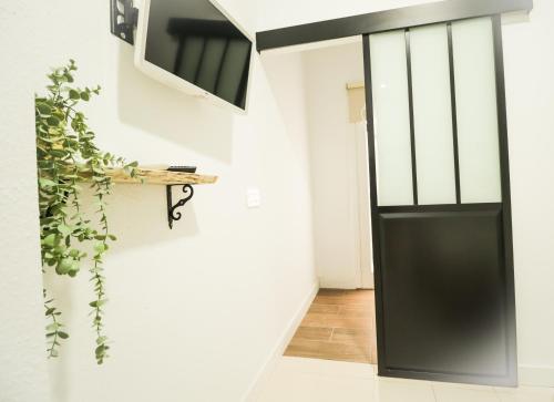 a kitchen with a door open and a plant in the corner at Parigi Hotel in Santa Cruz de Tenerife