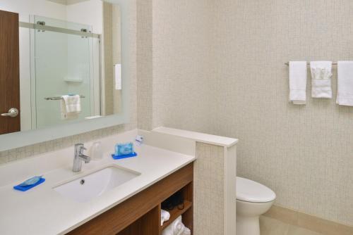 uma casa de banho com um lavatório e um WC em Holiday Inn Express & Suites - Chadron, an IHG Hotel em Chadron