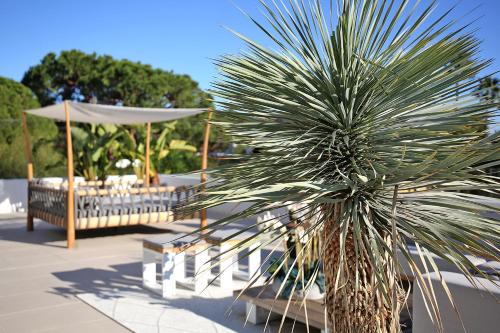 Casa Bodhi Boutique & Wellness photo 55